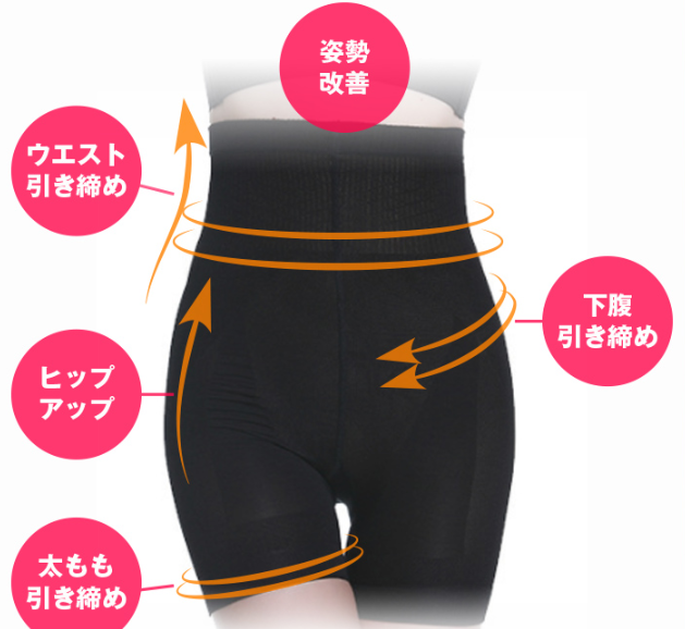 ヴィーナスカーブ