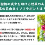 もっとすっきり生酵素の購入方法は？どこで、いくらで購入できる？