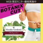 グレートシェイパーの口コミが知りたい！本当に痩せる？効果はあるの？評判は良いの？成分に副作用はないの？(Great Shaper)