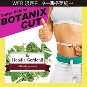 グレートシェイパーの口コミが知りたい！本当に痩せる？効果はあるの？評判は良いの？成分に副作用はないの？(Great Shaper)