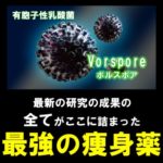 クリスチャンココの口コミが知りたい！本当にくびれるの？効果はあるの？評判は良いの？デメリットはないの？(Christian Coco)