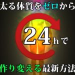 グレースシードステラシャンプーの口コミは高評価！自宅で気軽に炭酸スパできるシャンプーの効果は？（GRACE SEED STELLA）