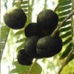 アムラブルの効果のほどはどうなの？【評判からわかること】