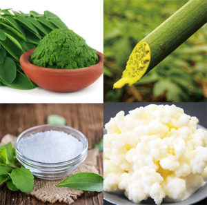 チャップアップで育毛できるって本当？使った男性16人の口コミを見てみると分かったこととは？