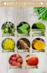 SNSで話題沸騰【スーパーフルーツダイエット フルベリ】気になる口コミ・効果紹介