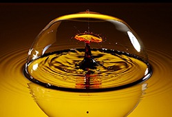 【ツヤツヤ髪になれると評判】グレースシードシャンプーの美髪効果はどれぐらい？特徴や口コミをまとめてみた