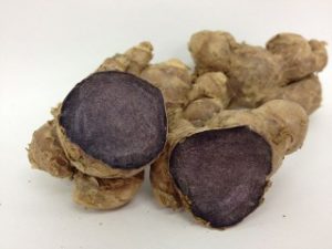 全ての人が追求する