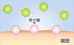 プルトは甘い物を我慢する必要なし？ダイエット効果を口コミでチェック！評判はどうなの？