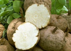 プルトの効果は嘘？SNS上で炎上している効果について徹底調査！