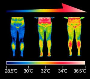 Slim Beauty White・スリムビューティホワイトで脂肪排出？！FBでイイねが貰えたらりInstagram映えする方法が知りたい必見