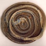 痩せるには便秘予防が重要？痩爽(SOUSOU)の効果でモデル体型をゲットしよっ！愛用者の口コミもじっくり見せます♪