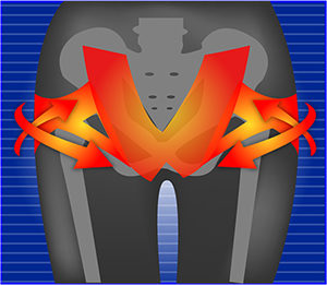 ビフィラプラスの口コミ評判・効果を徹底検証！