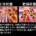 スラリックスでむくみは本当に解消できるのか！？飲むだけで痩せるなんて嘘じゃない？効果の真相・口コミ・評判を調べました！