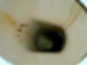 太りやすいお正月もブラッキー（blucky）でダイエット！口コミで「痩せすぎ」と話題のサプリの効果を徹底解剖しました！