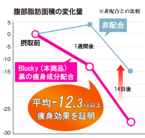ビットシェイパーはダイエット効果なし？リバウンドしないって本当？使用者の口コミや評判を暴露！
