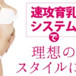 脱お一人様！【クリスチャンマリア】のバストアップ効果・口コミ・評価徹底リサーチ