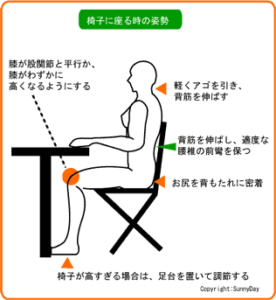 【効果検証用】菌活美人ステラ乳酸菌生酵素の成分と口コミをまとめました。本当に痩せる？ダイエット効果は？菌活して美ボディを目指せ