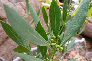 人気で品数も豊富なオールインワンゲル～選ぶポイントを知ろう～