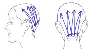 出産育児経験者から絶賛の声「愛され葉酸」その気になる成分は？