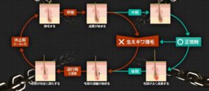 まあるい旬生酵素って？ホントに効くの？？気になる口コミや評判、効果を調べて得た情報をた～っぷりお伝えしちゃうよ☆☆