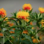 ビキャクイーンの効果はウソ？口コミをリサーチしました！