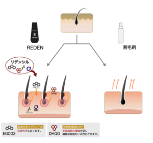 《プルト Pult》の効果と口コミ評判を調べました♪痩身の仕組みとお得な購入先も公開中！