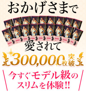 ヴィーナスカーブと併用することでダイエット効果がアップ！！その気になる商品とは一体！？