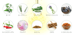 チャップアップに含まれる成分まとめ【ピックアップ】