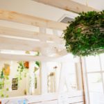 家庭用脱毛器ケノンと脱毛サロンを比較！脱毛するならケノンとサロン、どちらがいいの？