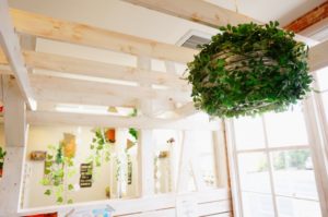 家庭用脱毛器ケノンと脱毛サロンを比較！脱毛するならケノンとサロン、どちらがいいの？